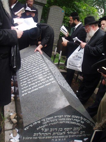 tehilim spam